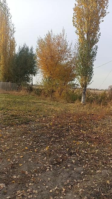 Жер тилкелери: 6 соток, Курулуш — 1