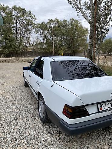 Mercedes-Benz W124: 1988 г., 2.5 л, Механика, Дизель, Седан at lalafo.kg Mercedes-Benz W124: 1988 г., 2.5 л, Механика, Дизель, Седан
