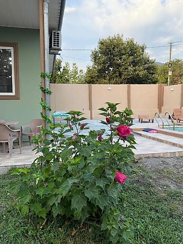 Uzunmüddətli kirayə evlər: Geniş və işıqlı həyət evi (kirayə üçün) - Planlama: rahat qonaq — 13