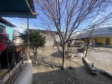 Двери для домов и квартир: Базар-Коргон — Саветиский Суу-башы 2 8,9 сотых крмната 10 комнаты — 6