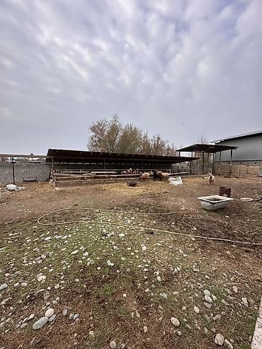 Продажа коттеджей и домов: 📍 В Романовке от трассы 600 м продается дом 29 соток, 40 кв.м. 🏡Дом — 3