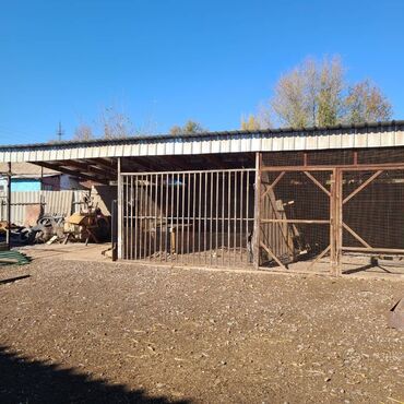 Продажа домов: Дом, 150 м², 5 комнат, Собственник, Евроремонт — 21