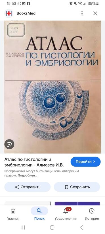 анта спорт бишкек: Куплю атлас по гистологии Алмазова новый вотсап писать в любое время