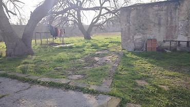 bağca satılır: Bakı, 26 kv. m, 3 otaqlı — 7