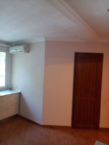 Ofislər: Gənclik metrosunun yaxınlığında yerləşən 125 kv sahəsi olan təmirli — 4