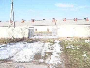 Цеха, заводы, фабрики: Продаю Фабрика, Действующий, 1300 м² — 1