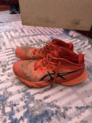 джинсы дордой бишкек: Кроссовки ASICS (серия Tokyo), цвет ярко‑оранжевый с черным логотипом