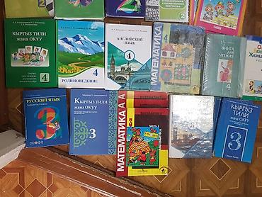local guide program: Книги 2-4 классы, 150с — 3