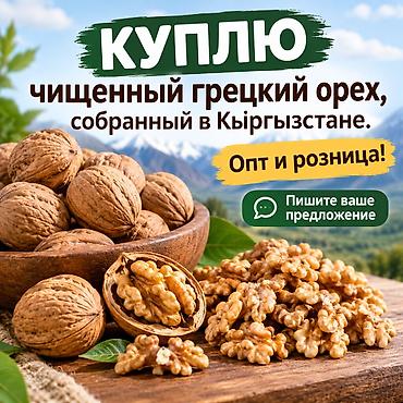 КУПЛЮ Грецкий орех (очищенный) без скорлупы собранный в Кыргызстане