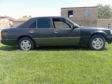 Mercedes-Benz: Mercedes-Benz 250: 2.5 l | 1991 il Van body type — 6