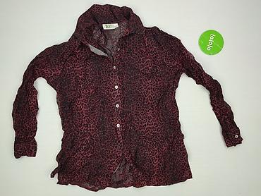 house mcqueen: XLNT, Bluzka damska, rozmiar 4XL — 2