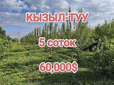 аренда квартиры кыргызстан: 5 соток — 1