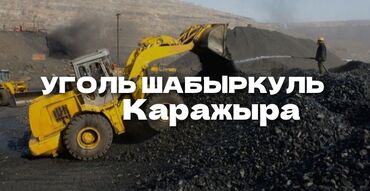 шабыркул уголь: Уголь Шабыркуль, Платная доставка