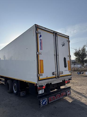 daf 2008: Грузовик, DAF, Стандарт, Б/у — 5