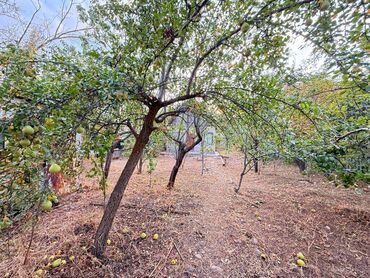 Продажа домов: Дача, 25 м², 2 комнаты — 9