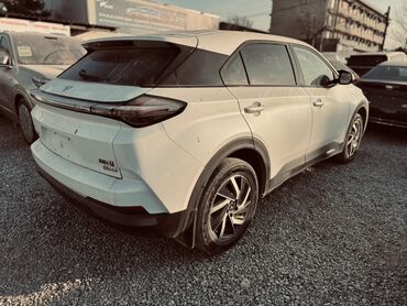 Другие автомобили: Neta U Pro /Ev-Электро кроссовер. Основные особенности: - Кузов — 3