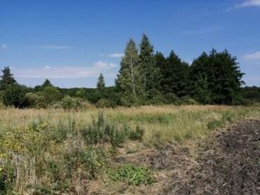 помощь в переезде: Уборка территории, Уборка двора и сада, Другое