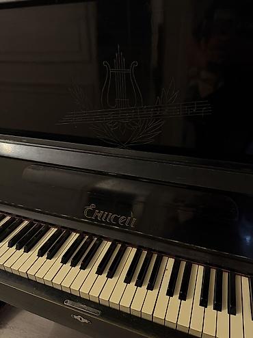 native instruments: Советское пианино «Енисей» — винтажный акустический инструмент — 3