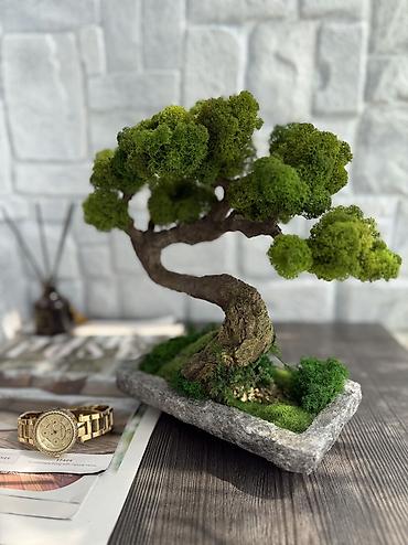 Другой декор и предметы интерьера: В переводе с японского Бонсай означает «дерево, выращенное в блюде» — 46