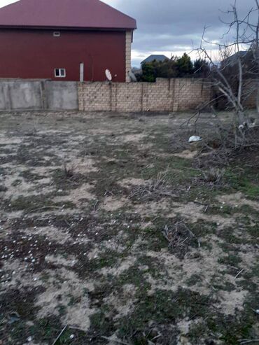 Torpaq sahələrinin satışı: 10 sot, Tikinti, Mülkiyyətçi, Bələdiyyə — 5