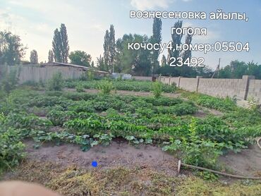 купить дрова бишкек: Участок сатылат