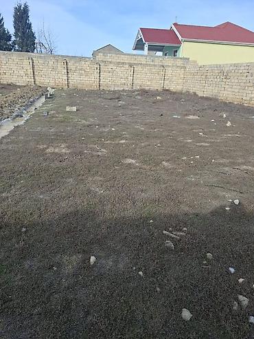 Torpaq sahələrinin satışı: 3 sot, Tikinti, Mülkiyyətçi, Kupça (Çıxarış) -da lalafo.az — 6 Torpaq sahələrinin satışı: 3 sot, Tikinti, Mülkiyyətçi, Kupça (Çıxarış) — 6