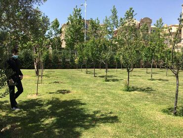 Uzunmüddətli kirayə evlər: 100 kv. m, 2 otaqlı — 3