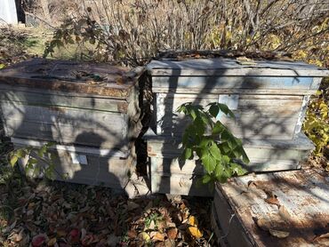 бишкек двери: Жыгач Ящик, Колдонулган