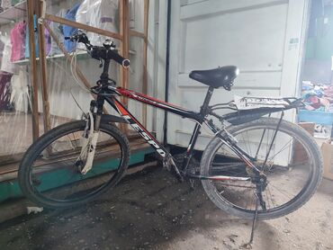 трехколесный велосипед без педалей: Ассаламу алейкум. Корейский велосипед отличного качества