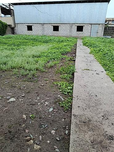 Продажа коттеджей и домов: Срочно продается дом! Верхний район по ул. Л.Чайкиной Участок 8 — 8