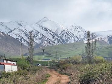 ысык куле: 6 соток, Курулуш, Кызыл китеп — 3