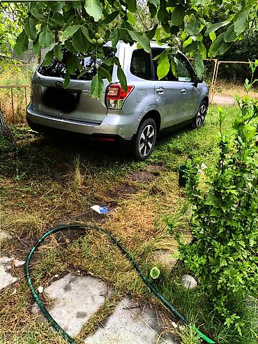 subaru forester: Subaru Forester: 2016 г., Кроссовер — 3