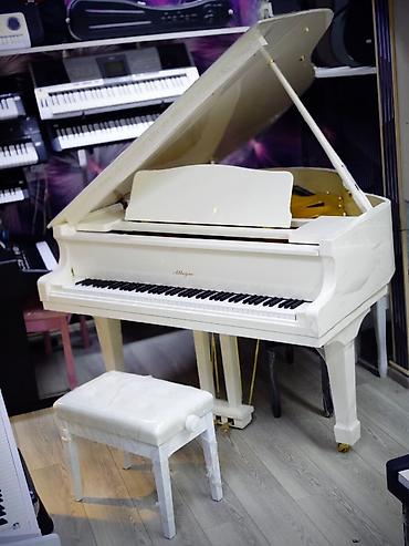 Musiqi alətləri: Royal, Akustik, Yeni, Pulsuz çatdırılma — 2