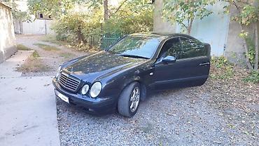 krone sd: Mercedes-Benz CLK-Class: 1997 г., Автомат, Бензин, Купе — 1