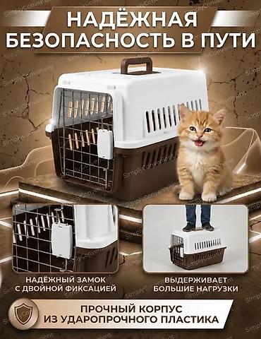 ппревозки собак: Переноски для животных (разные размеры) - Жесткие пластиковые боксы — 8