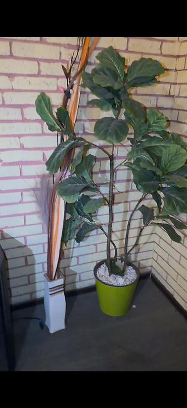 Прямые диваны: Прямой диван — 18