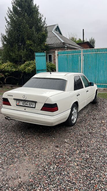 автомобил мерс: Mercedes-Benz 220: 1993 г., 2.2 л, Механика, Бензин, Хэтчбэк