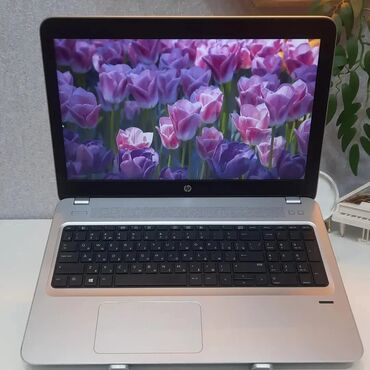 samsung gt e1310: Б/у HP Pavilion, 15.6 ", Intel Core i7, 256 ГБ