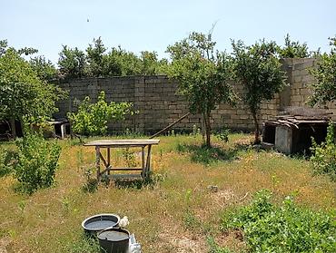 qusarda yer satilir: 6 sot, Tikinti, Makler, Kupça (Çıxarış) — 2