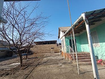 Sale of cottages and houses: Продаётся жилой дом с участком. Ош Араван жолдун бойунда Магазин — 5