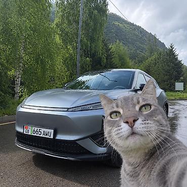 Dongfeng: Dongfeng : 2025 г., Электромобиль — 1