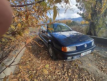 wolksvagen: Volkswagen Passat: 1991 г., 1.8 л, Седан — 2