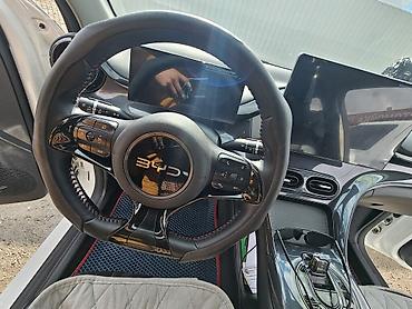 BYD: BYD G3: 2024 г., Гибрид, Кроссовер — 6