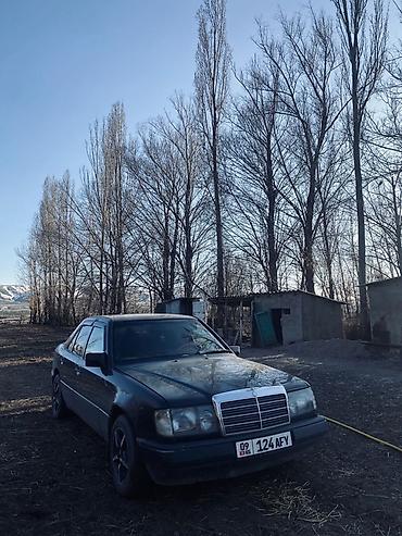 мер 124: Mercedes-Benz W124: 1989 г., 2.3 л, Механика, Бензин, Седан — 5