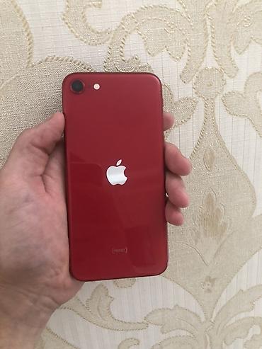 apple iphone se: IPhone SE 2020, Б/у, 64 ГБ, Красный — 1
