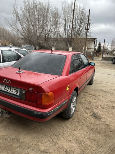 Audi: Audi 100: 1991 г., Седан — 17