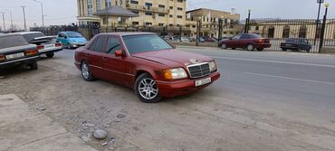 Mercedes-Benz: Mercedes-Benz W124: 1995 г., 2.5 л, Механика, Дизель, Седан — 3