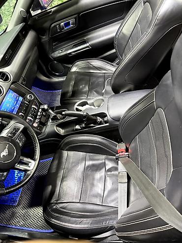Ford: Ford Mustang: 2020 г., 2.3 л, Автомат, Бензин, Кабриолет — 6