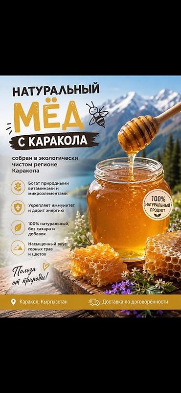 банки для меда: Натуральный пчелиный мёд в пластиковых банках - Светлый, прозрачный — 6
