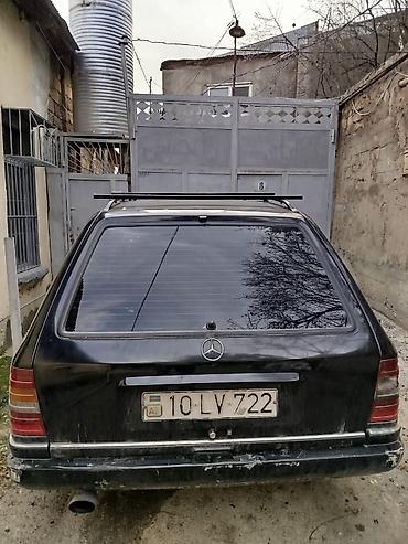 Транспорт: Salam Mercedes həvəskarları "yeşqa furqon" satılır. 3 sadə mator — 3